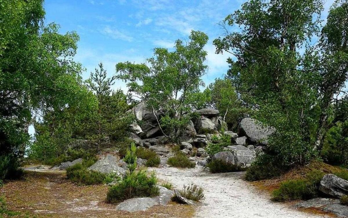 Appartement Le Jardin Des Hautes Presles Le Fer A Cheval Fontainebleau